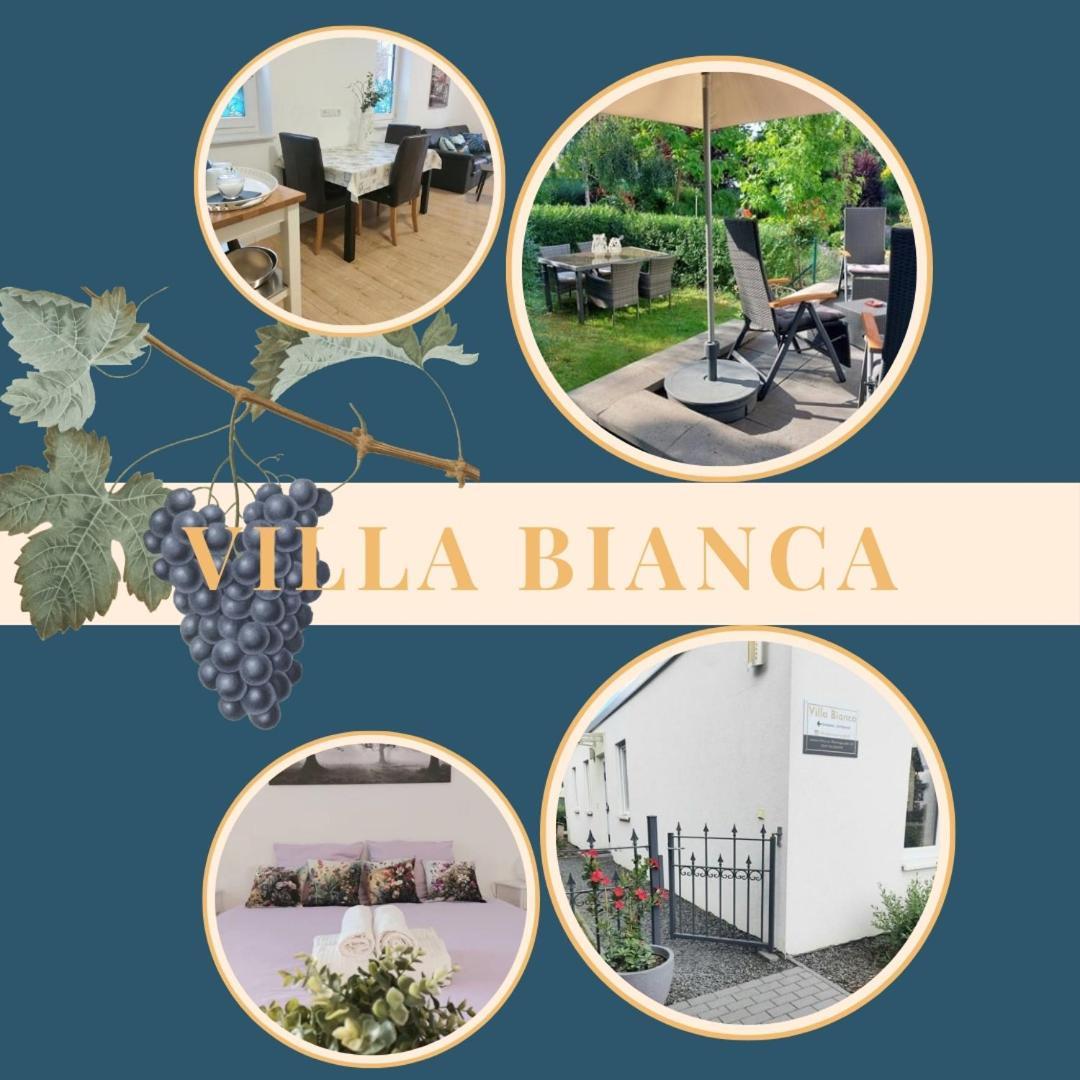 Villa Bianca - Holiday & Business Elsenfeld Exterior photo